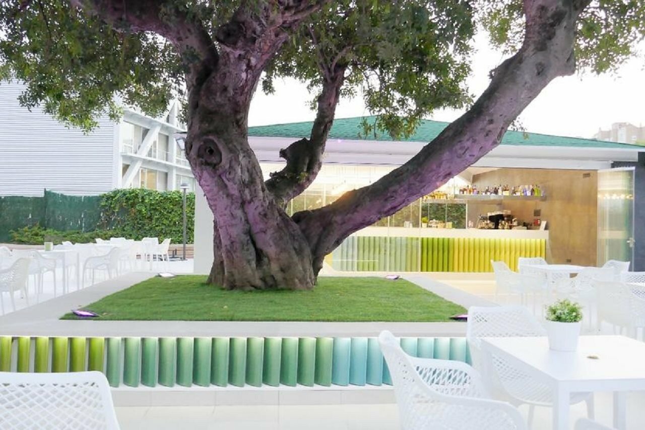 Фото Hotel Primavera Park