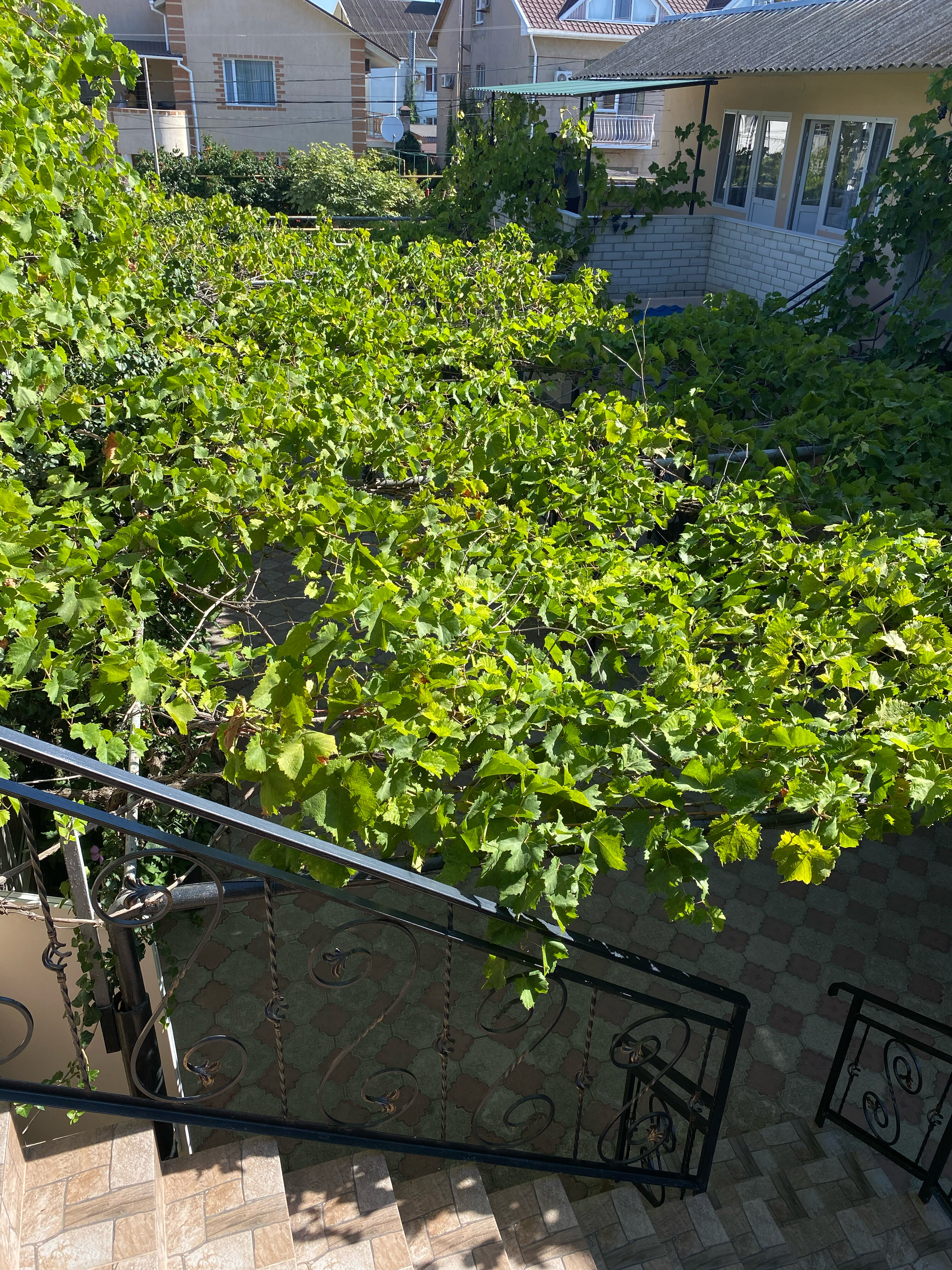 Фото Черноморский Дворик