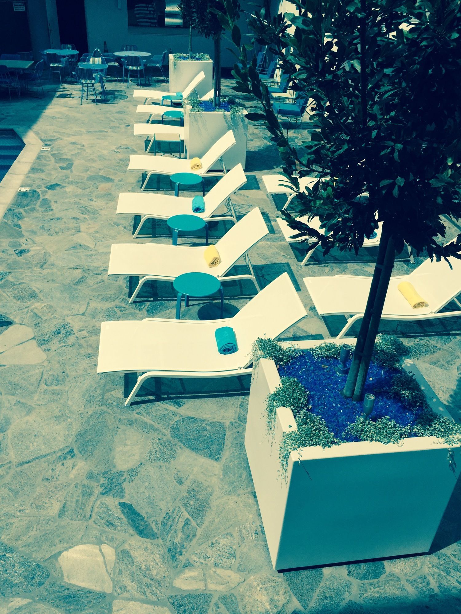 Фото Beverly Laurel Hotel