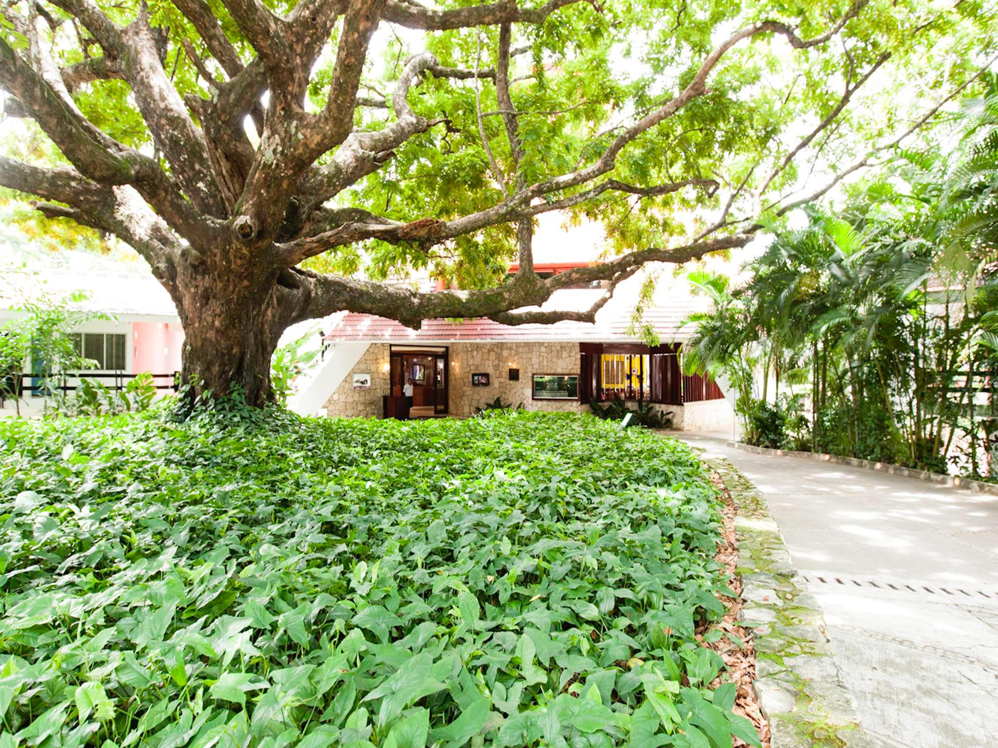 Фото Hotel Misión Palenque