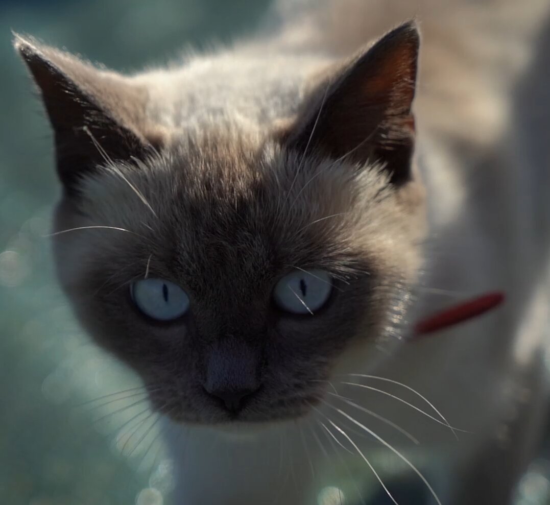 Фото Геометрия