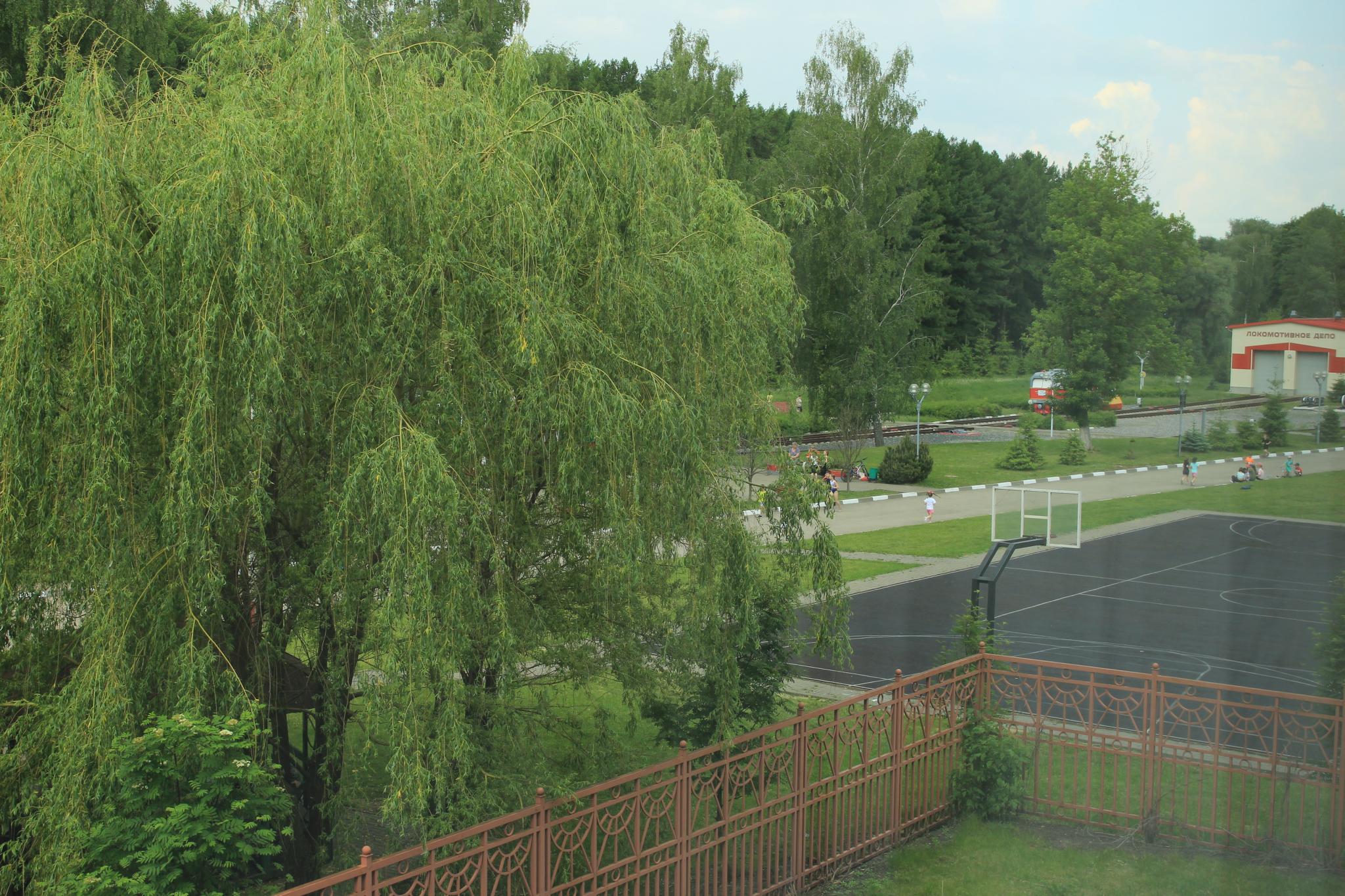 Фото Mister Goodman