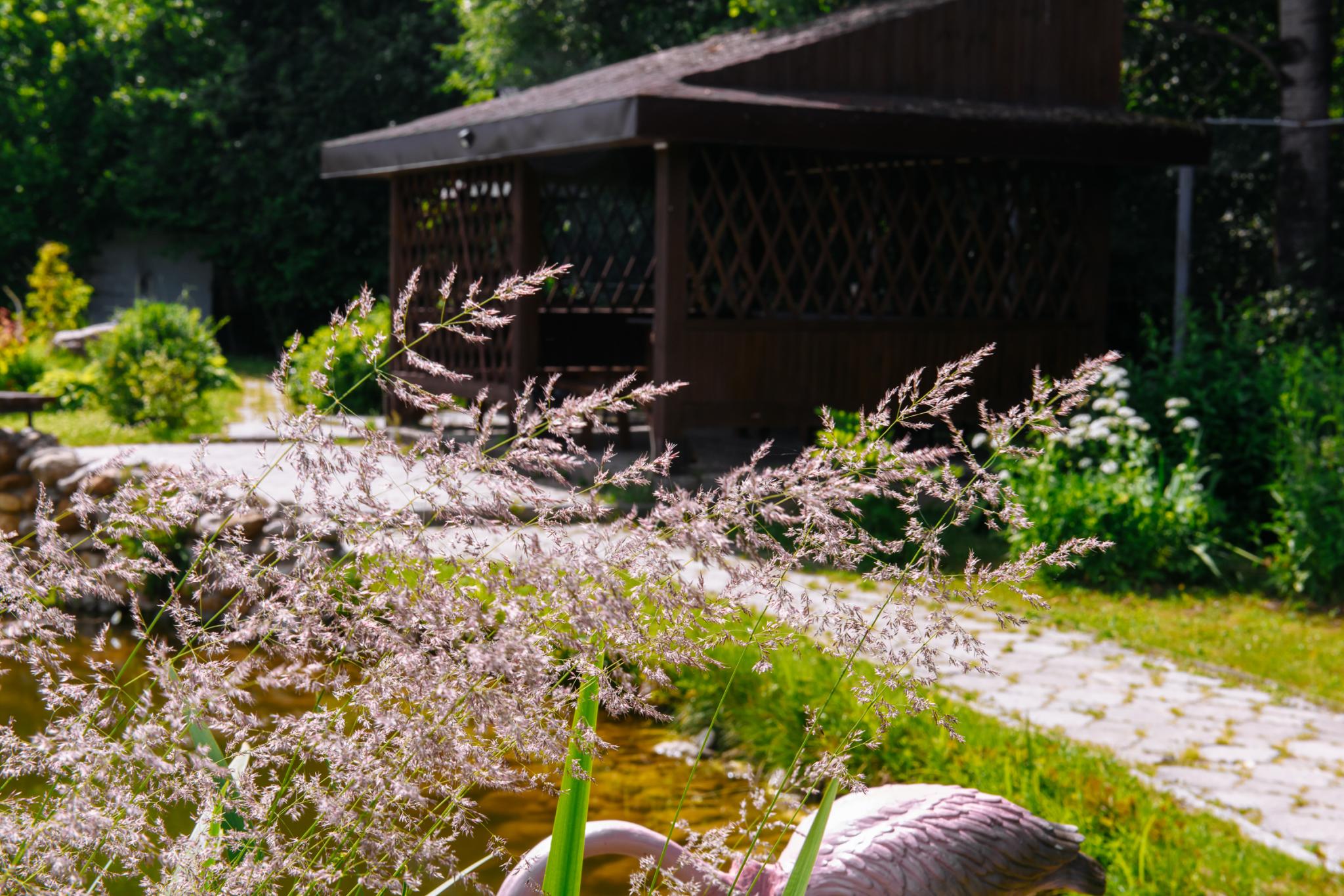 Фото Парк-отель Вольские дачи