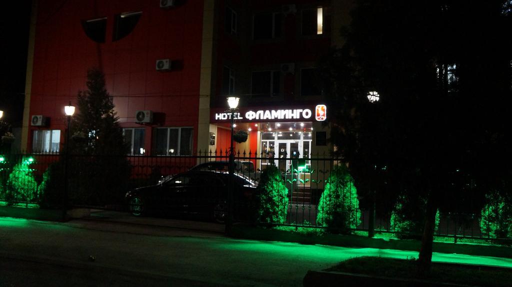 Фото Фламинго