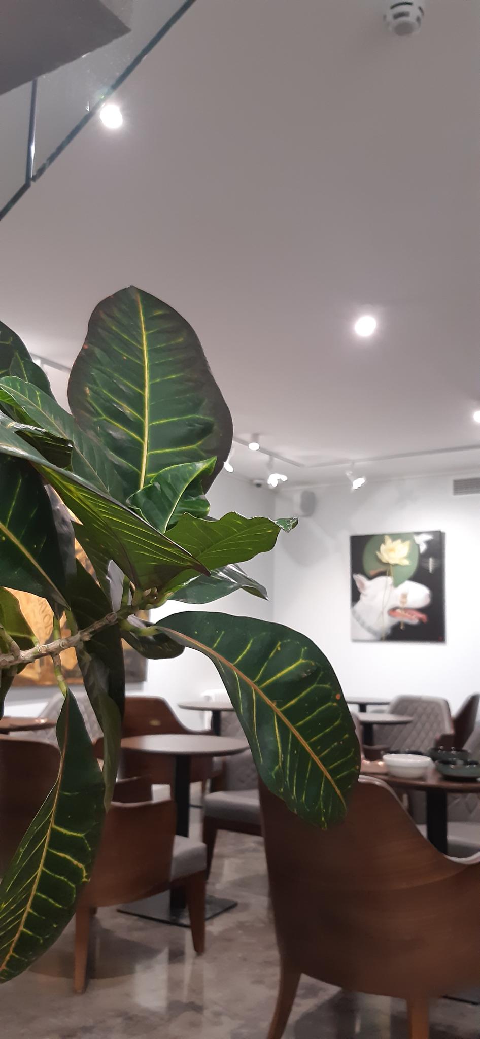 Фото Артбокс