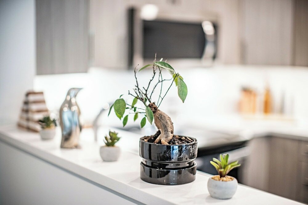 Фото L'Austin Rêve by Revelstoke Vacations