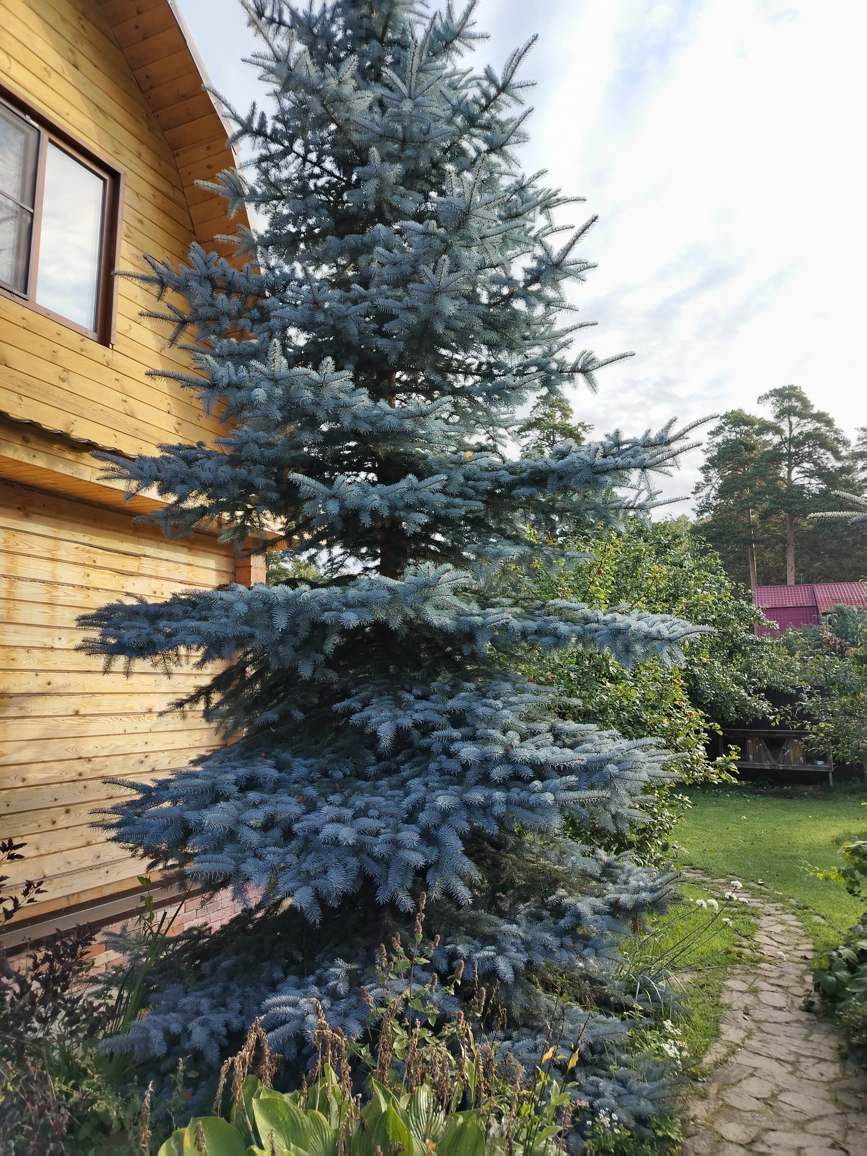 Фото Деревенька Аракуль