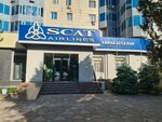 Scat Airlines (Qonaev dańǵyly, 13), airline