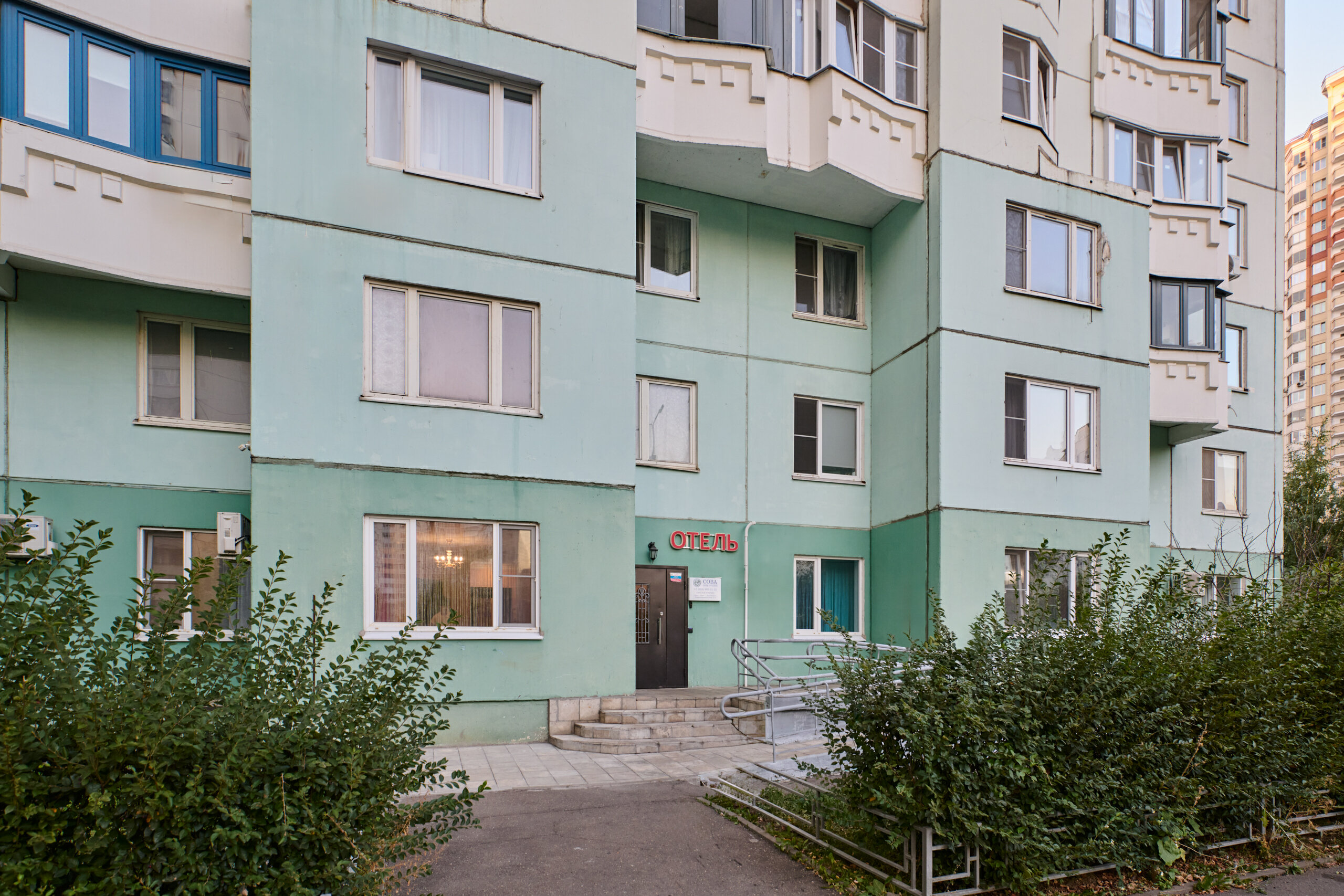 Фото Колибри