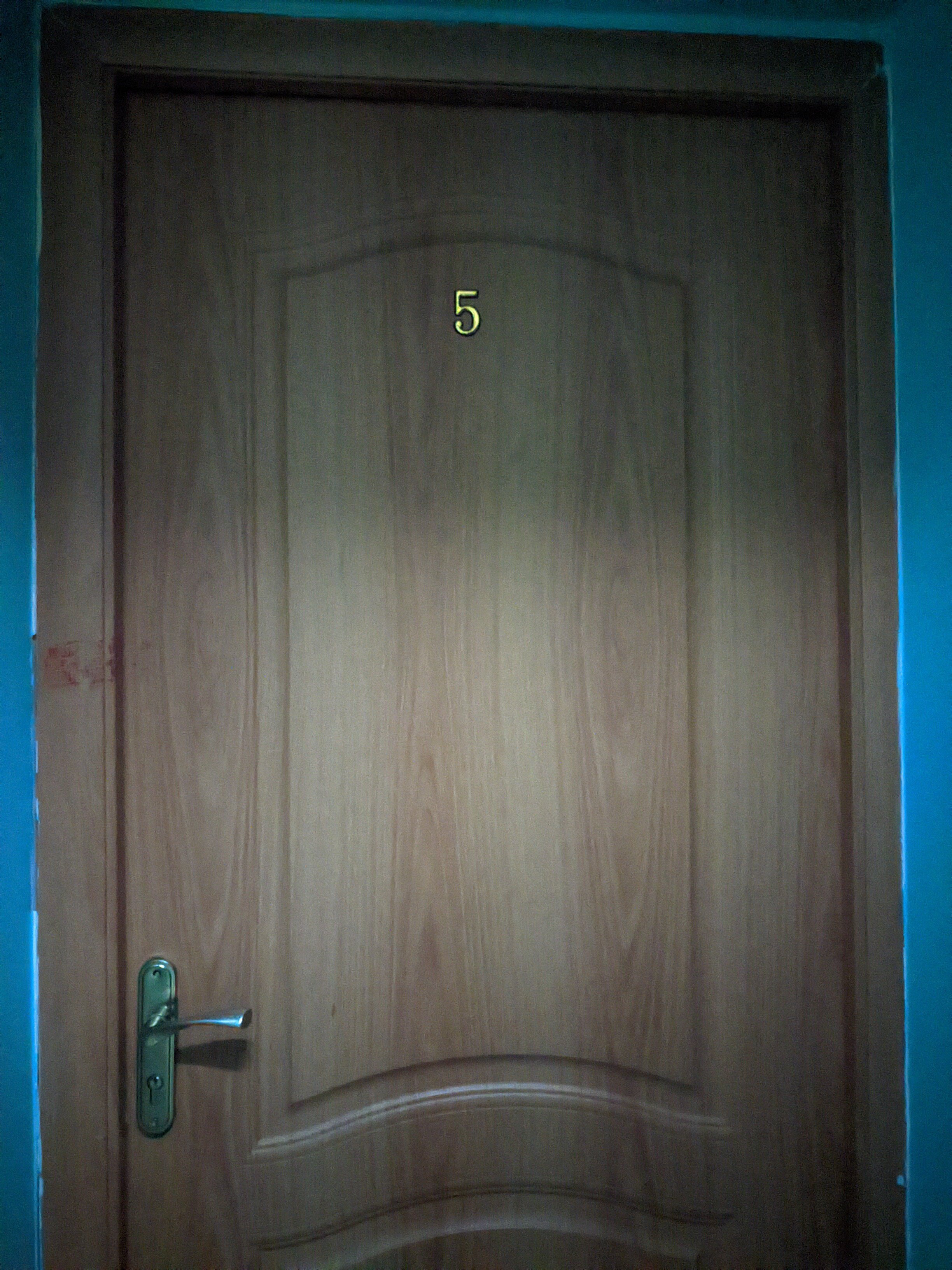 Фото Брусника Нагорная