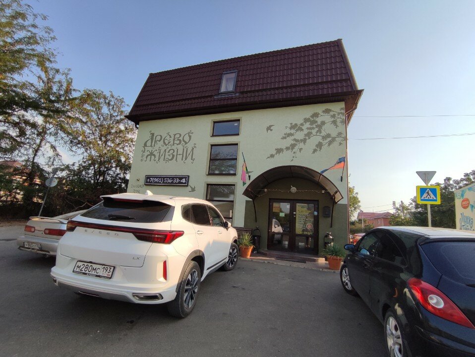 Фото Древо жизни