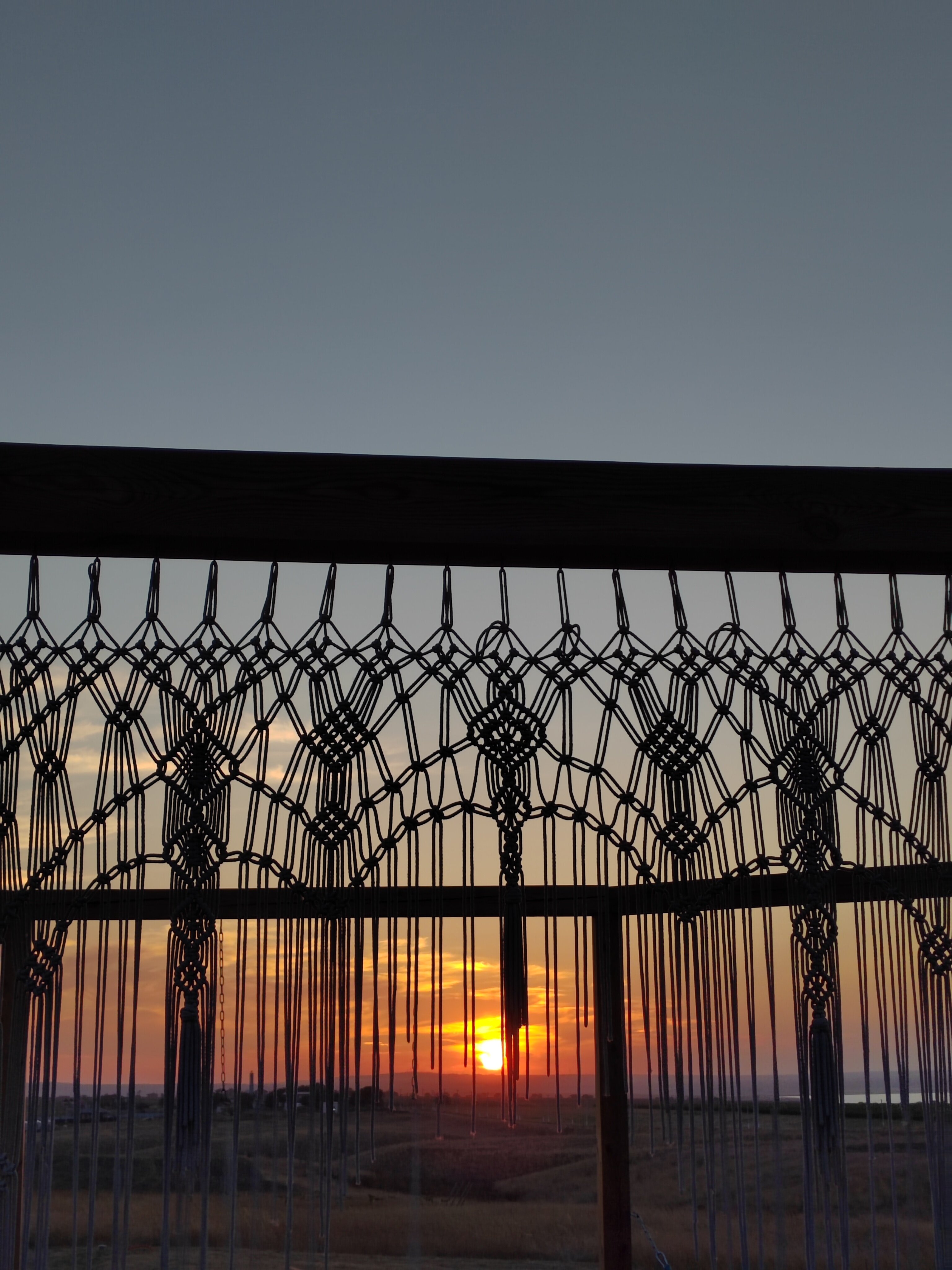 Фото Фридом