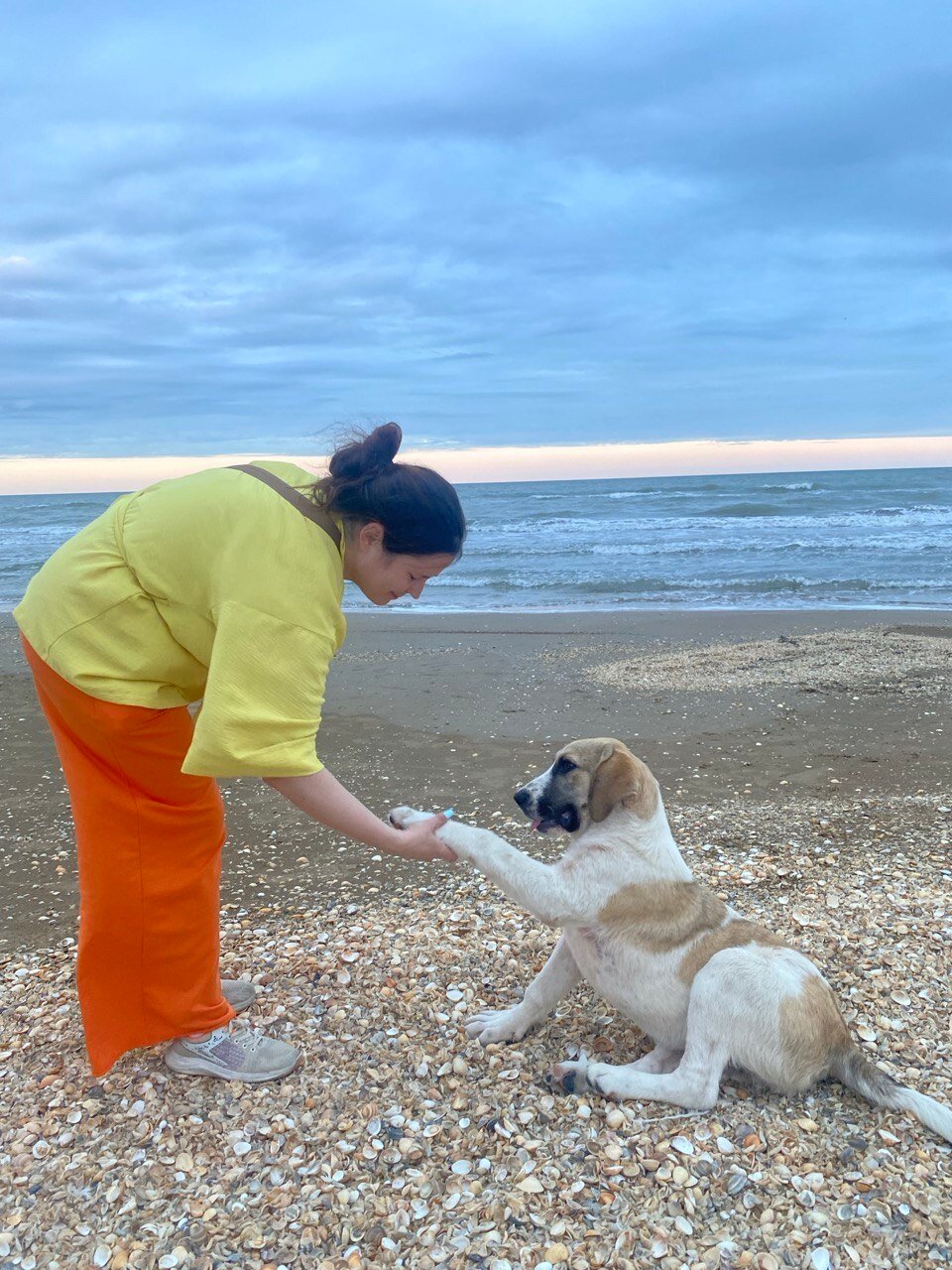 Фото Тихая гавань