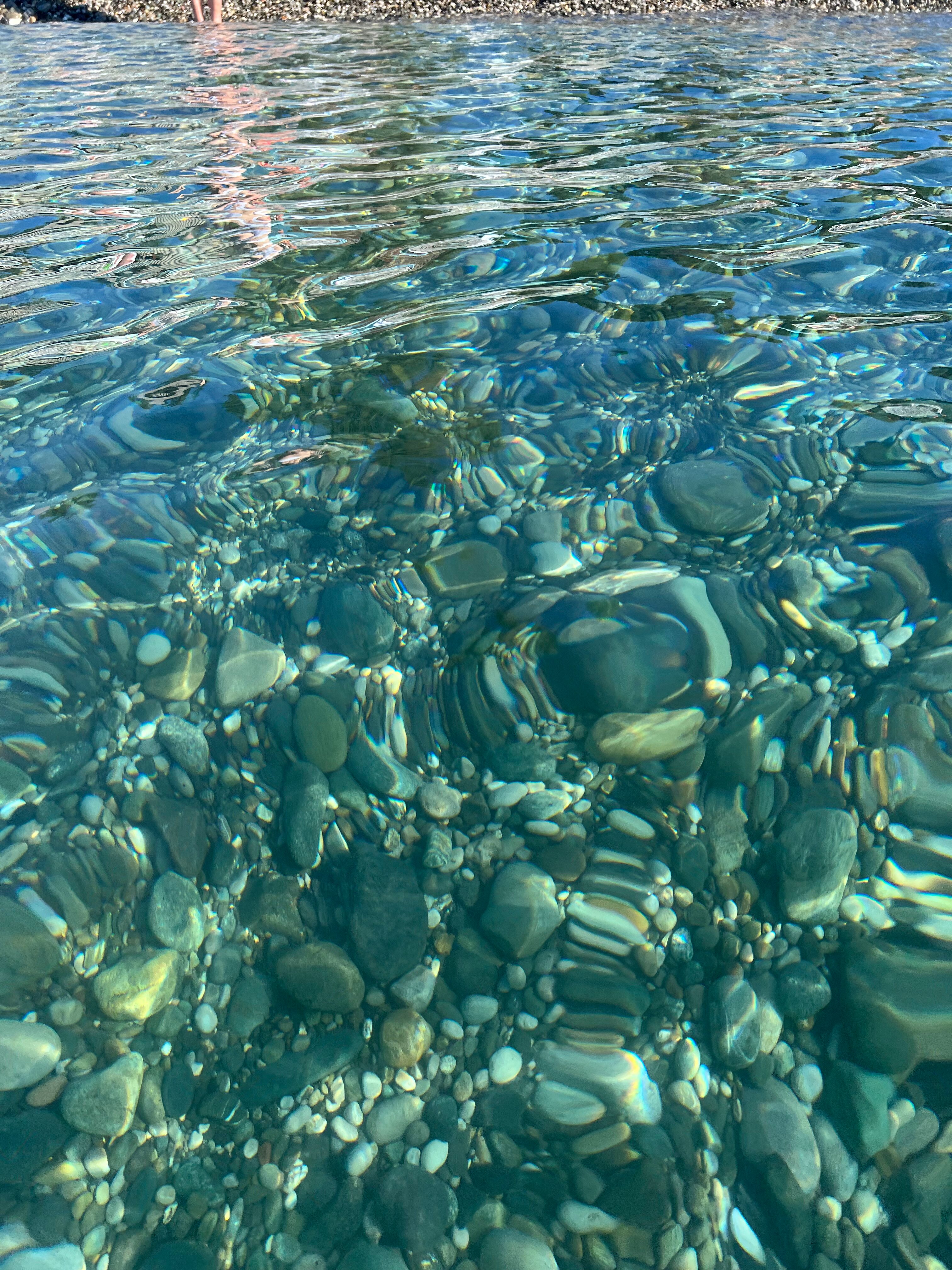 Фото Eco Paradis