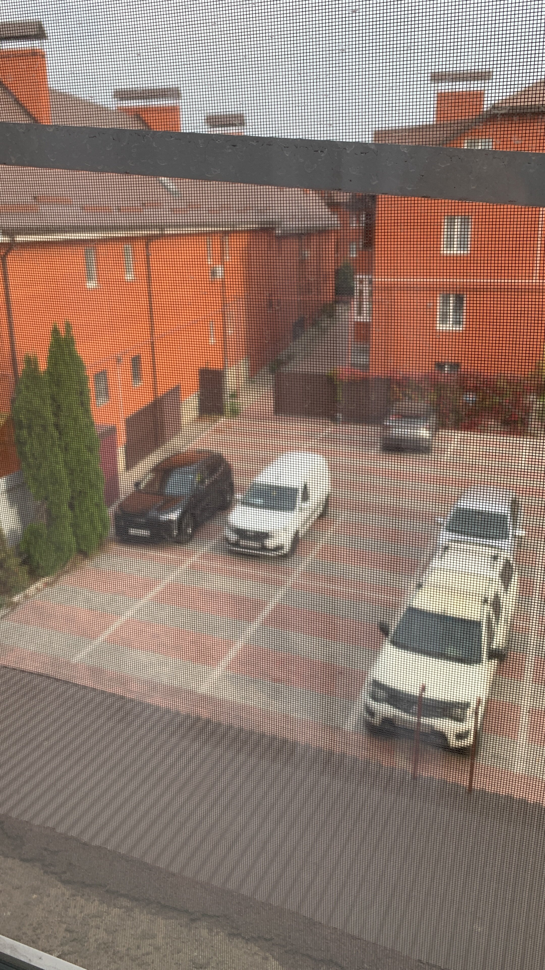 Фото Европейский