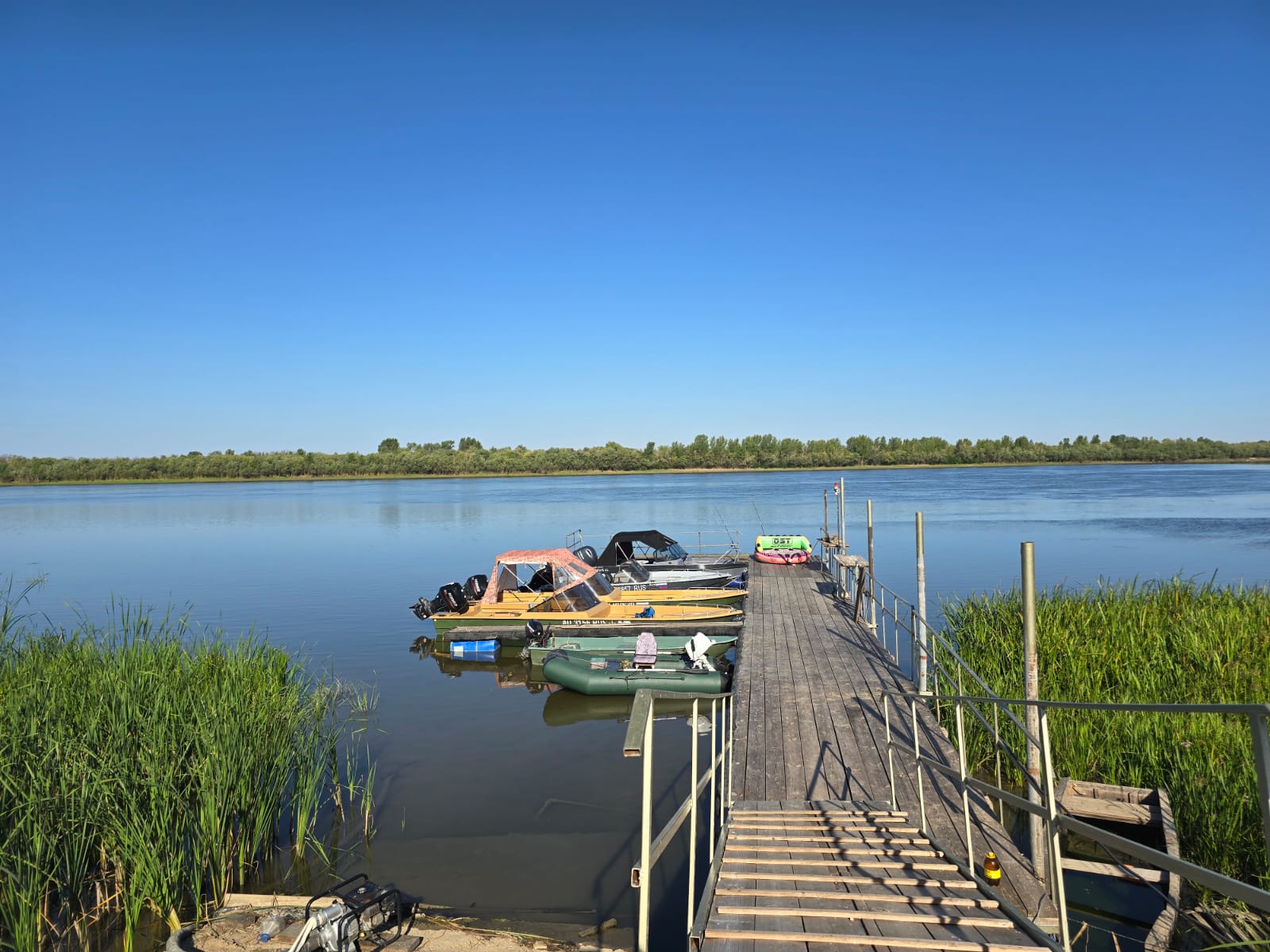 Фото Белый лев