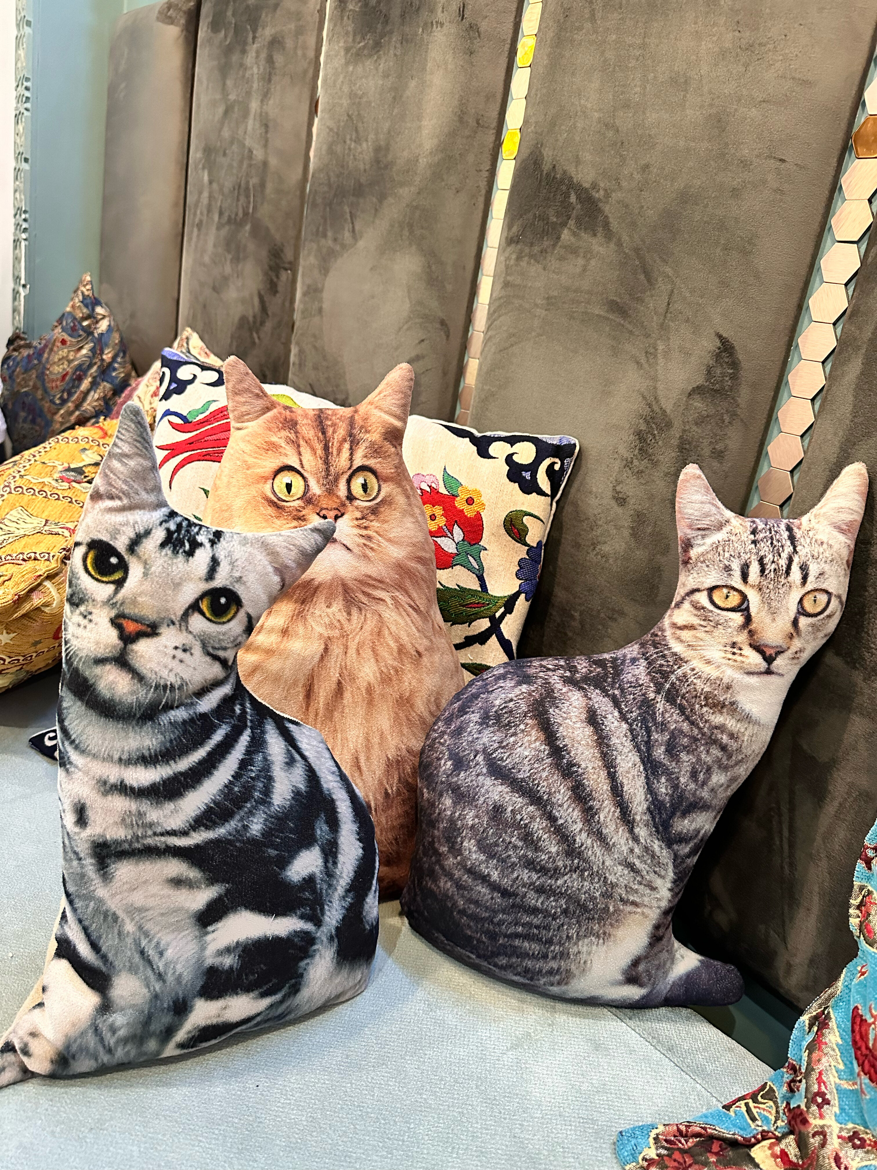 Фото Мангостин