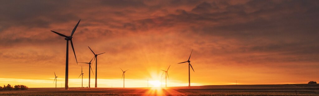 Environmental organization Mafe Engineering, Ankara, photo