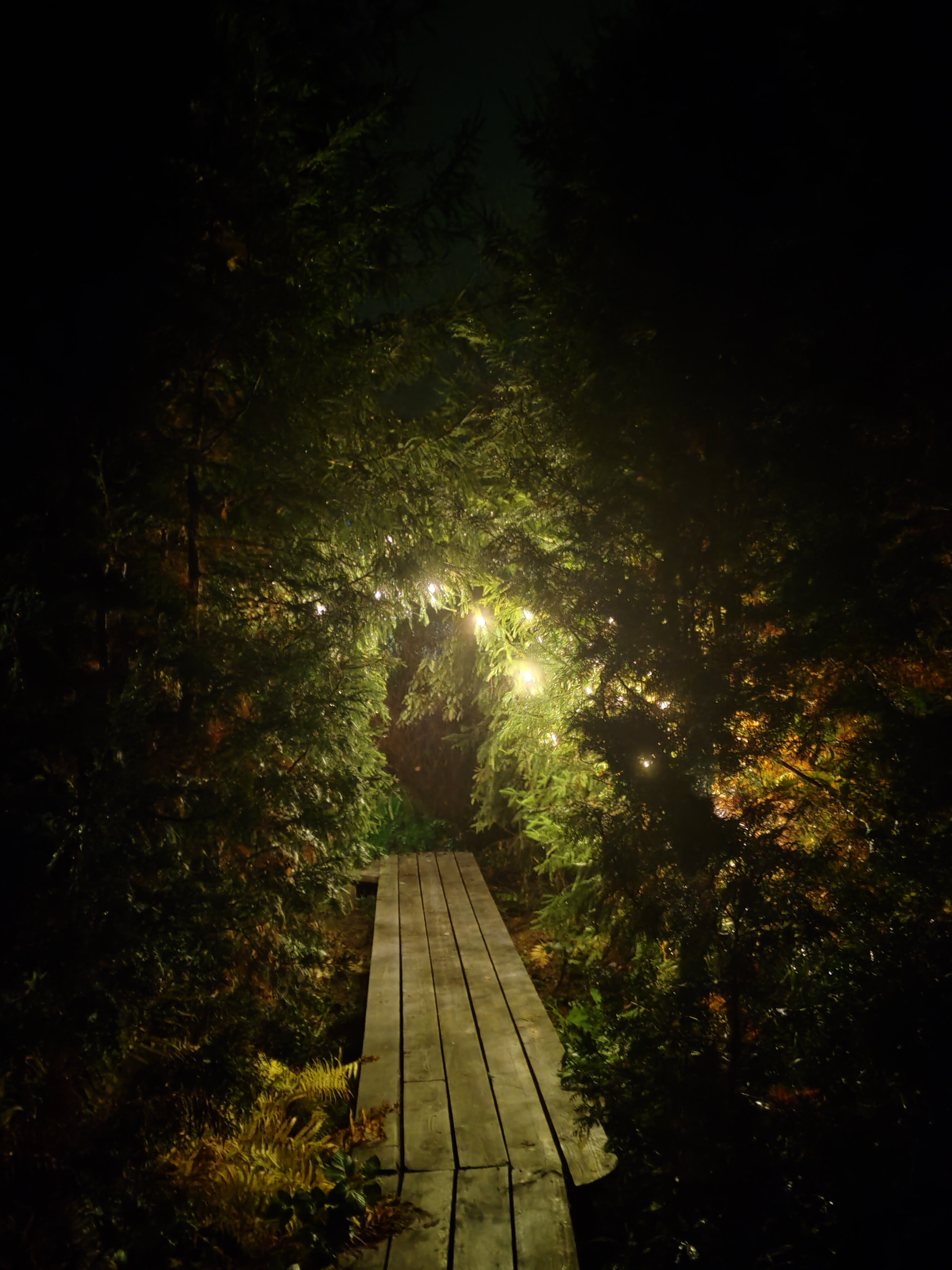 Фото Домики на озере