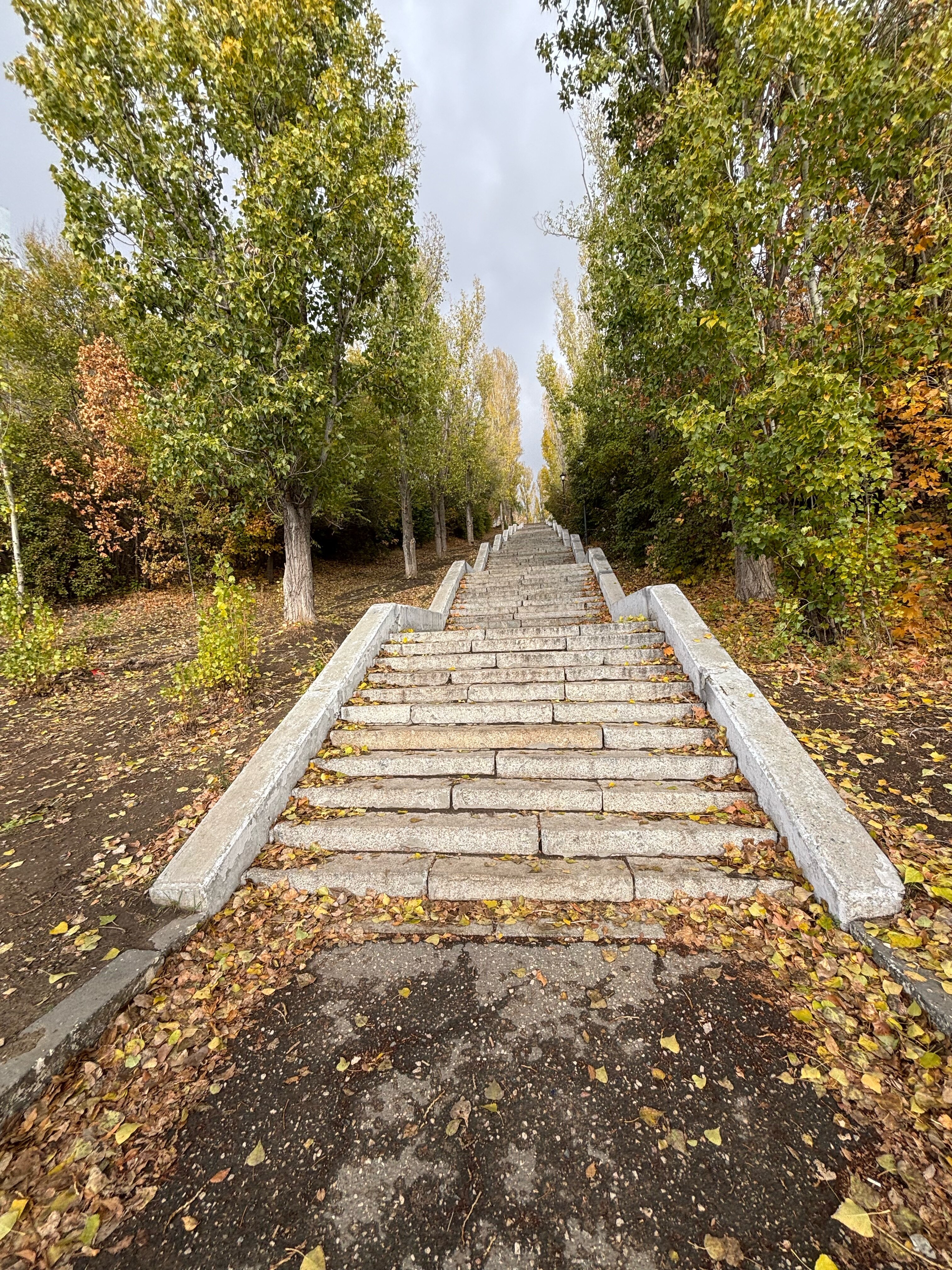 Фото Журавли