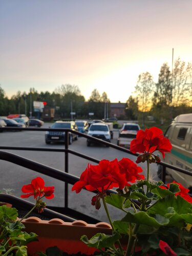 Гостиница Гостиничный комплекс Уют в Пудоже