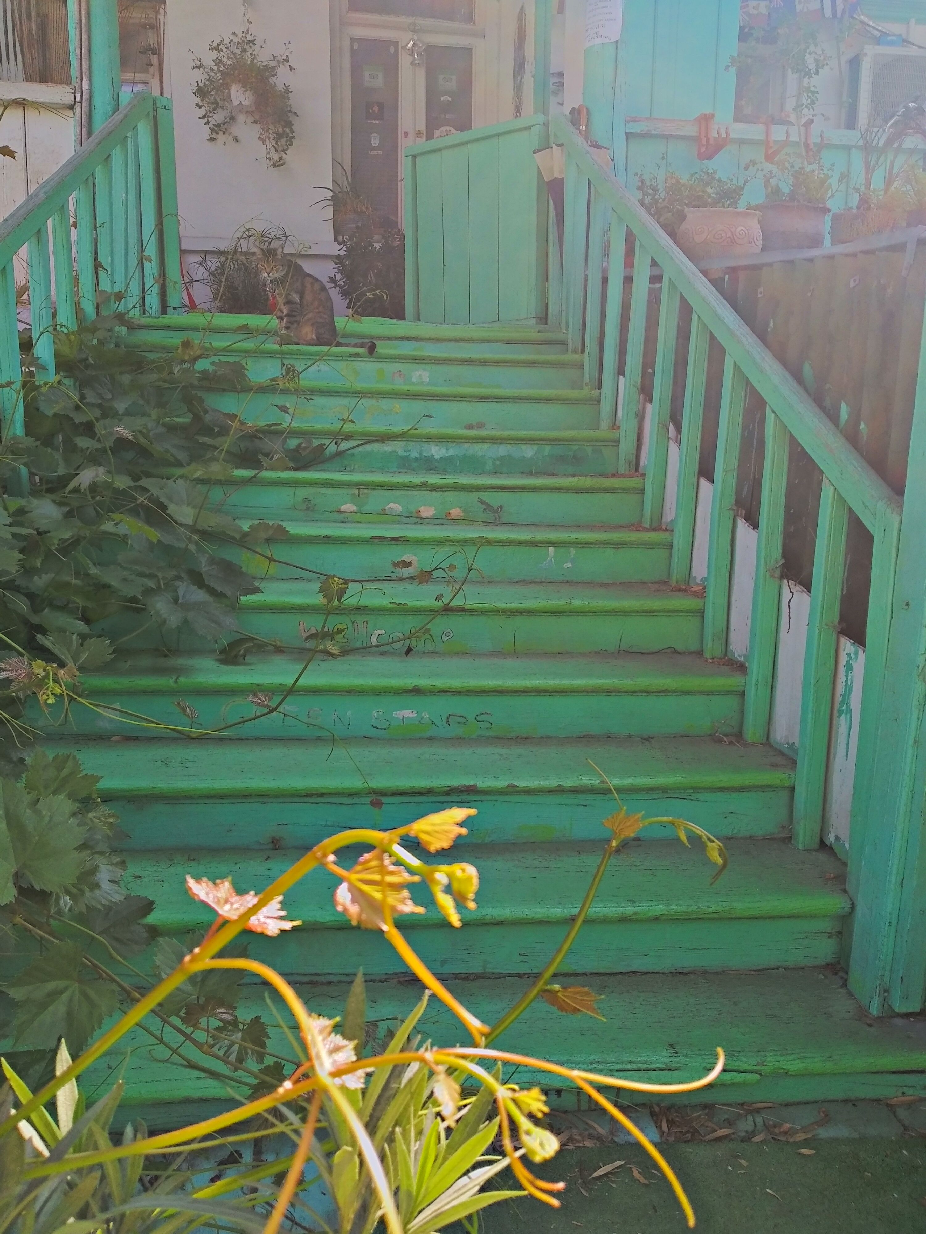 Фото Грин Стейрз