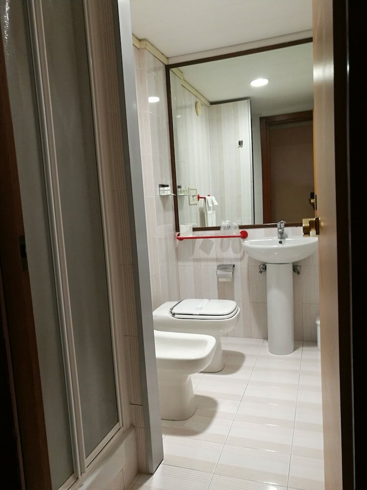 Фото Hotel Pineta Palace