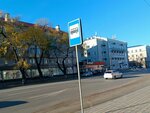 Арбитражный управляющий Горшкова А. В. (Lenina Street, 120) ، محكمة التحكيم