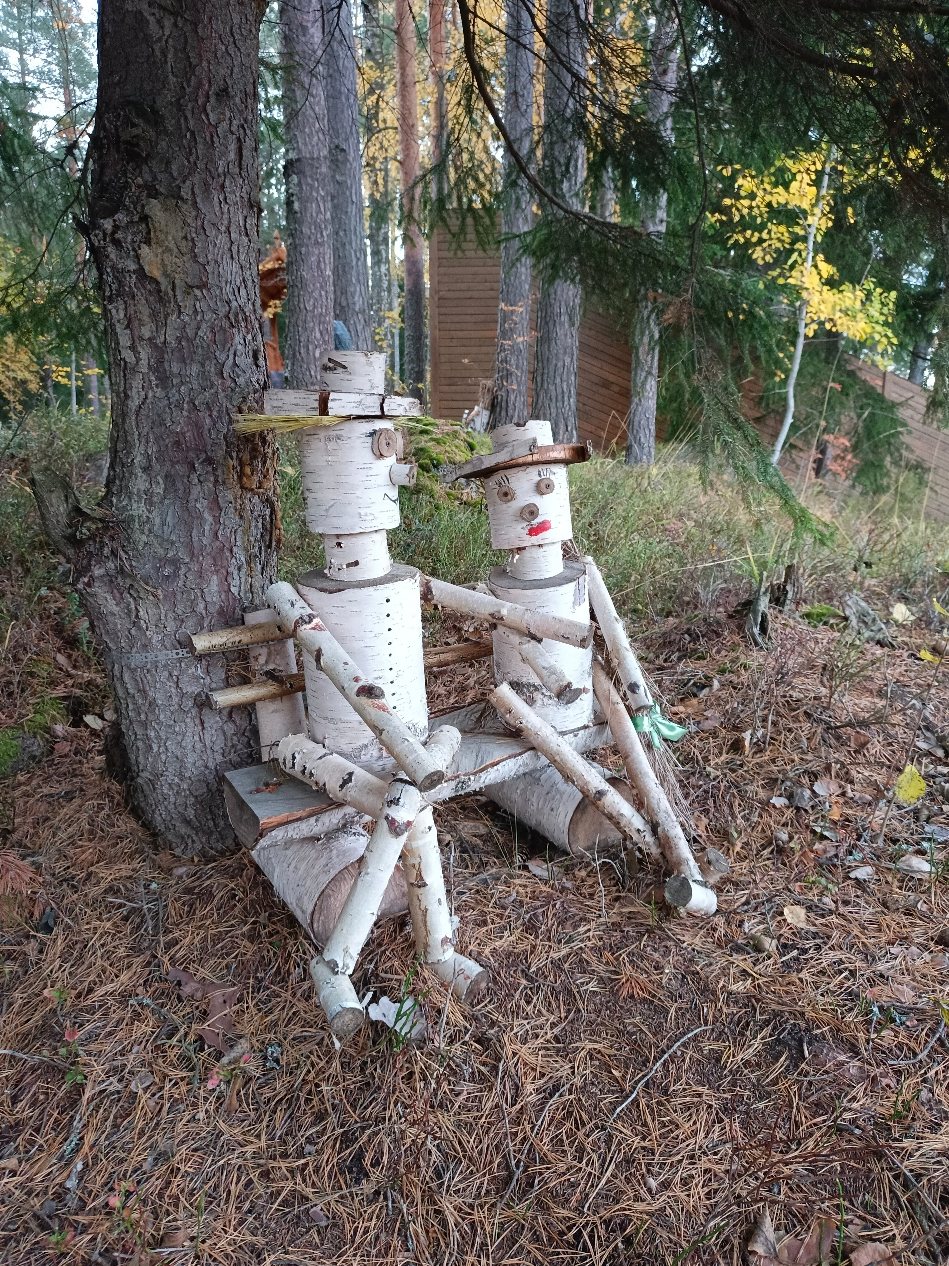 Фото Лесная сказка