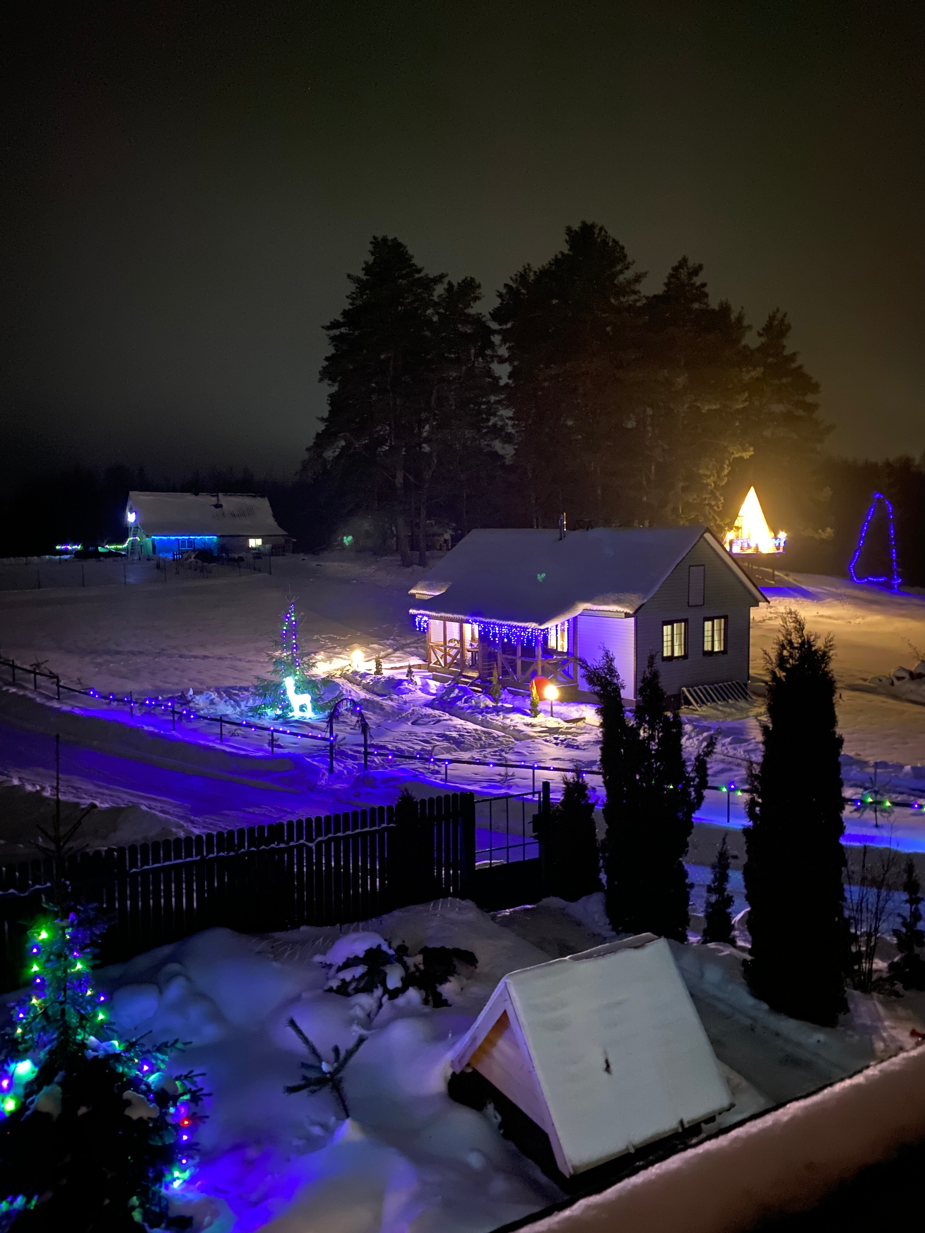 Фото Сосновая роща