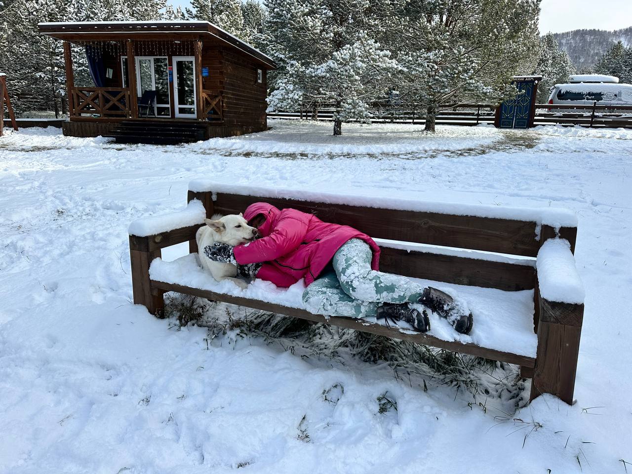 Фото Алтайский дом Перезагрузка