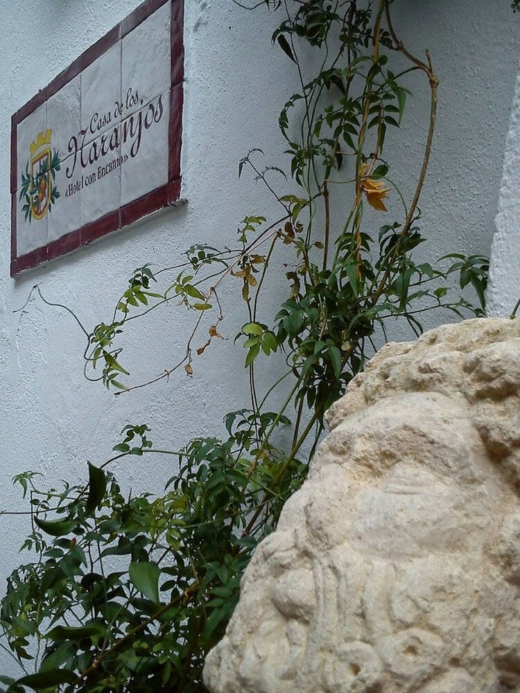 Фото Hotel Casa De Los Naranjos