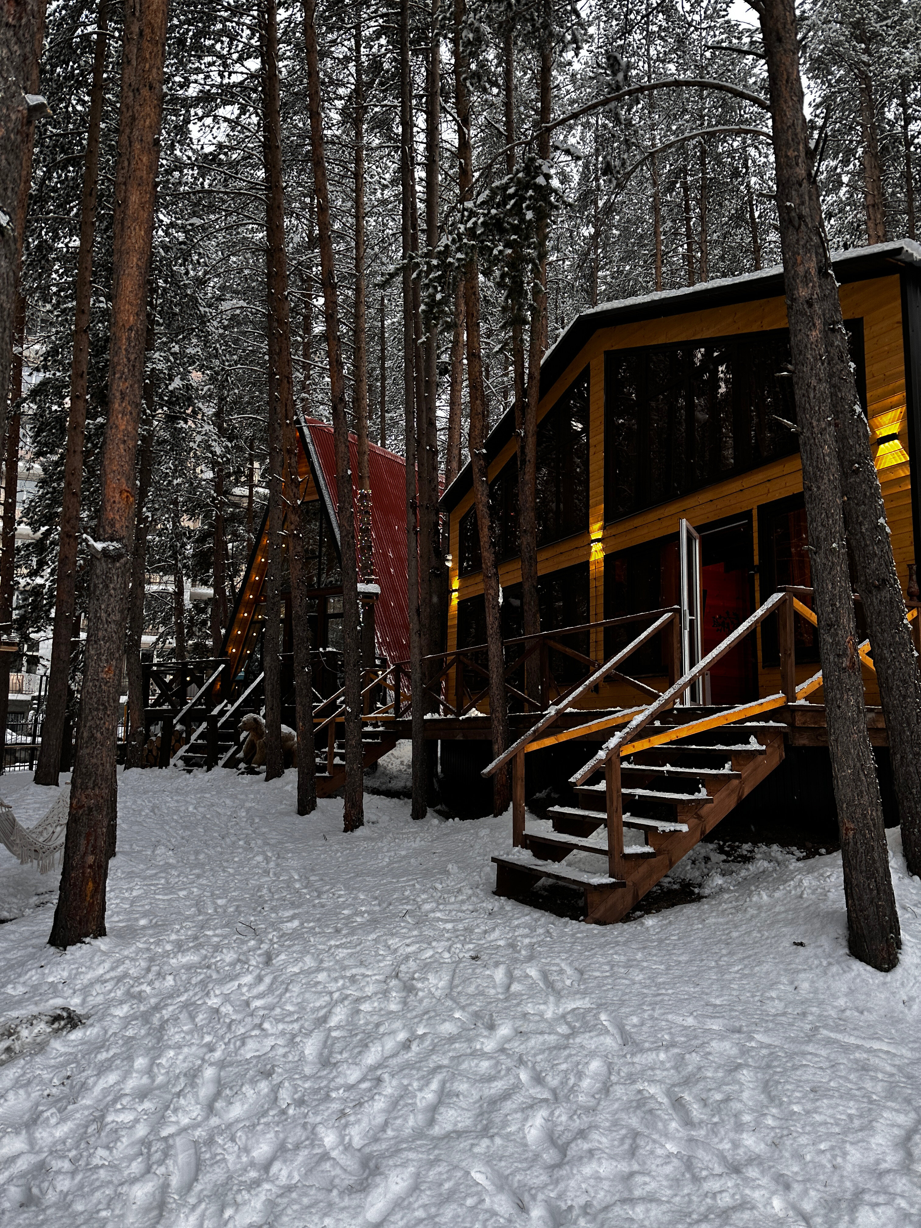 Фото Dream Chalet