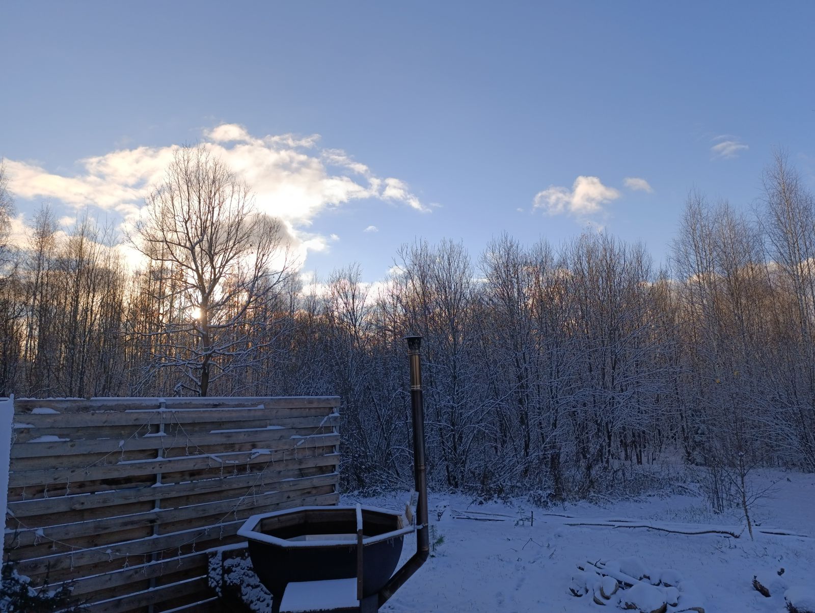 Фото Зелёные просторы