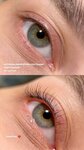 Lami_lash_elvi (Dekabristov Street, 81Б), eyebrow and eyelash salon