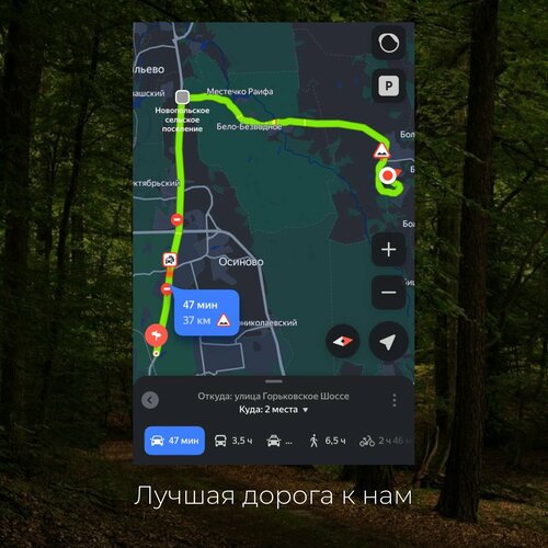 Лесное Озеро  фото 4