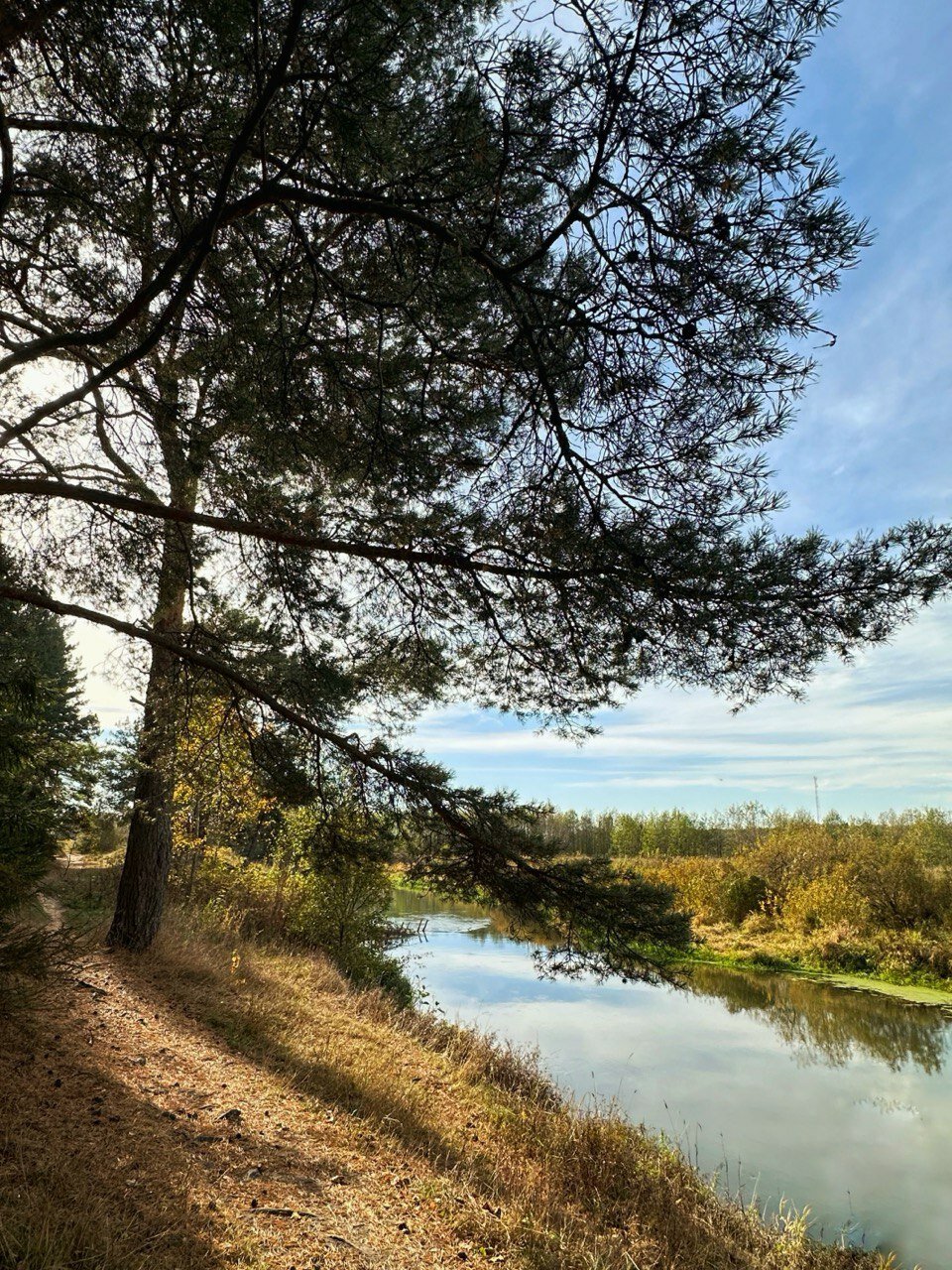 Фото Влодеево