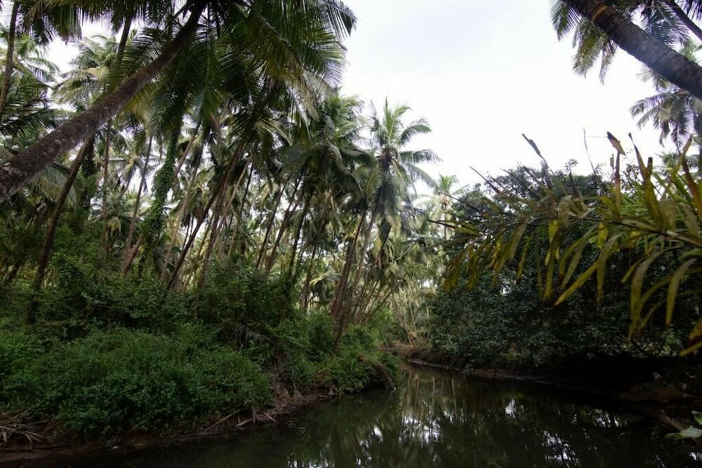 Фото Saturn Beach Cottage
