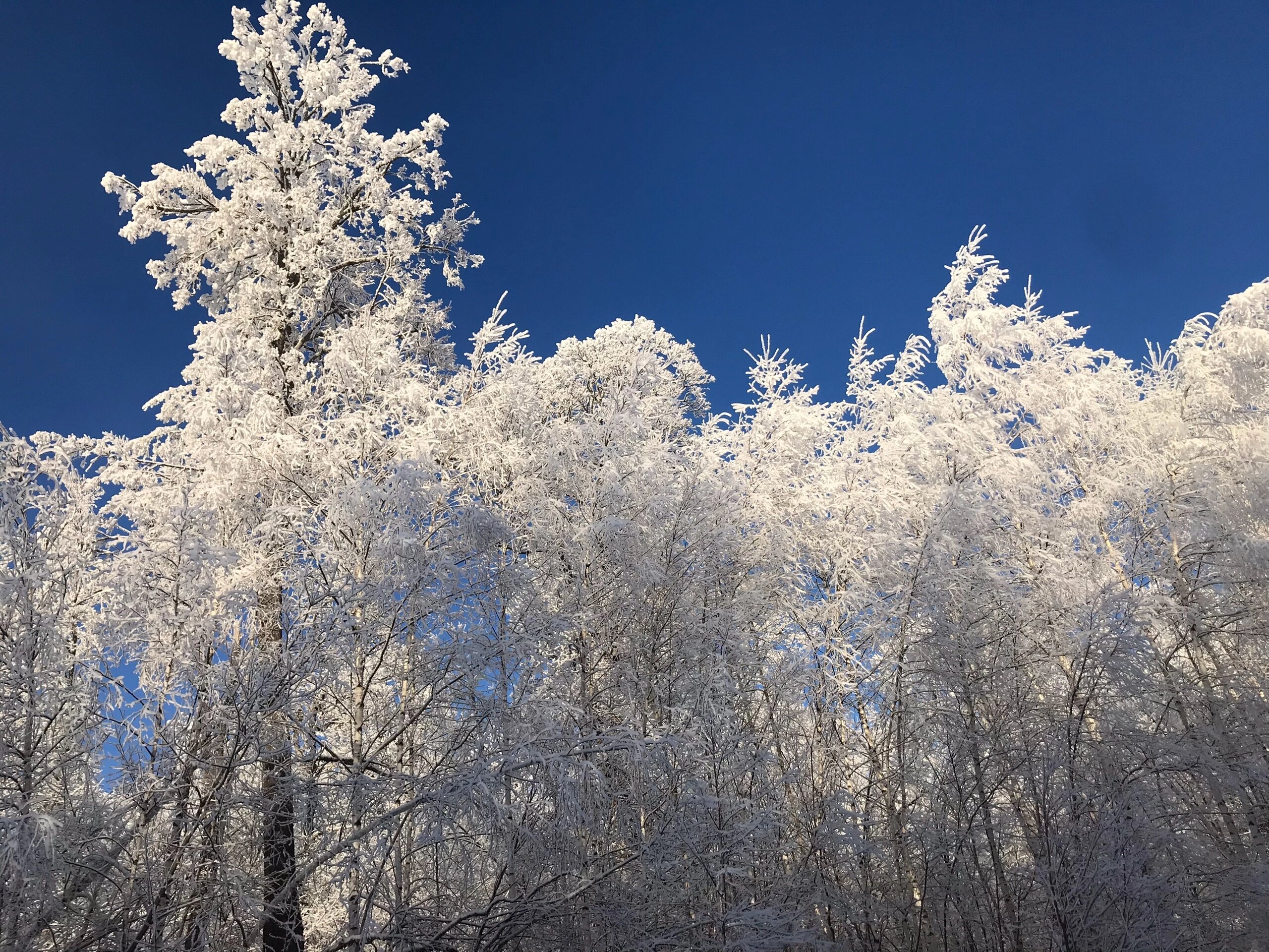 Фото Жемчужина Зилима