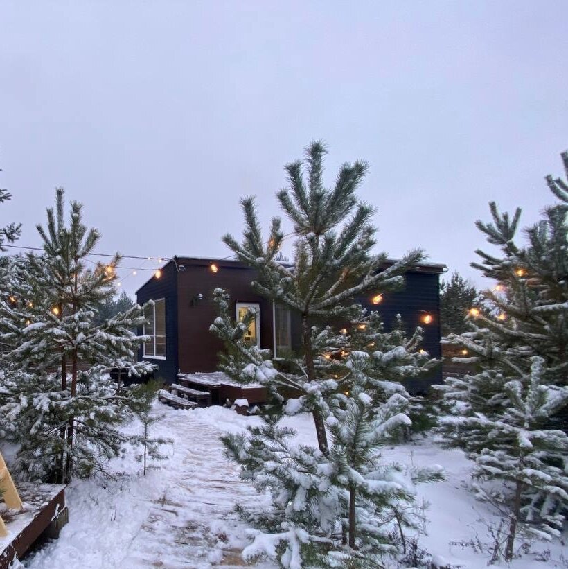 Фото Тишина