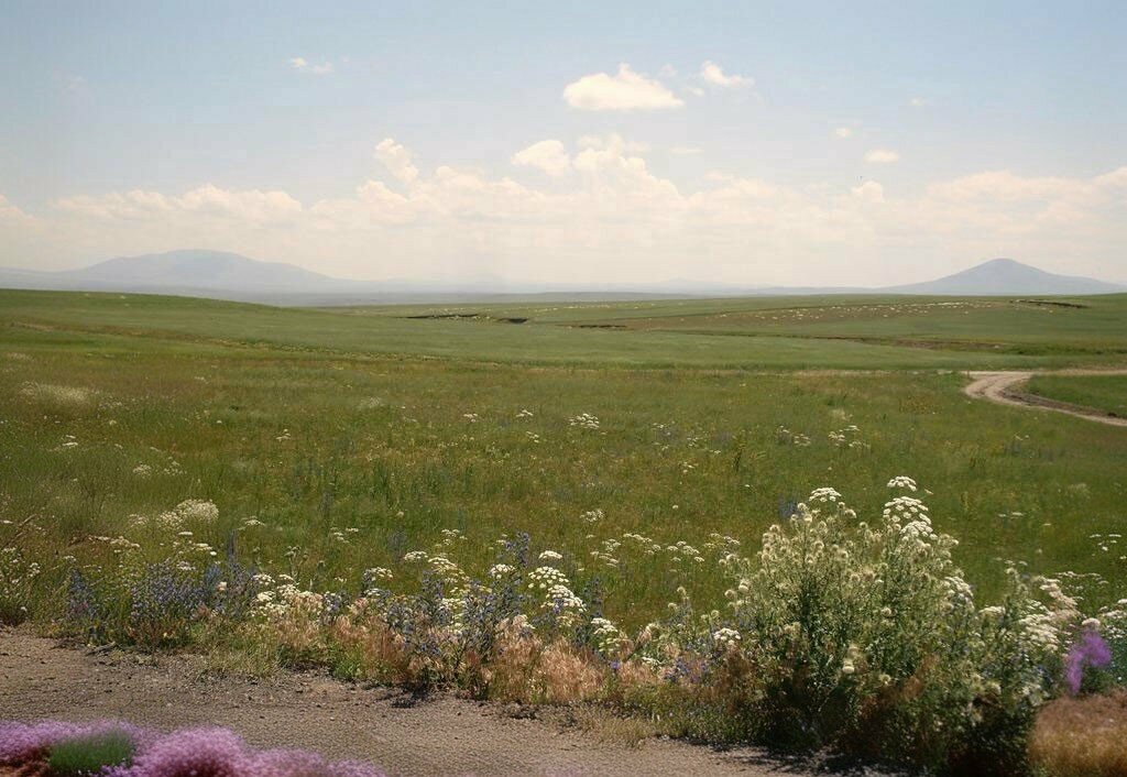 Administration Selim Belediyesi, Selim, photo