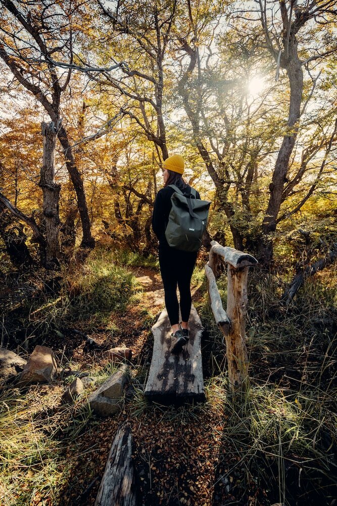 Фото Chalten Suites Hotel