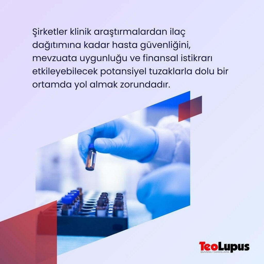 Business consulting Teolupus Internal Audit and Risk Management Consultancy, Istanbul, photo