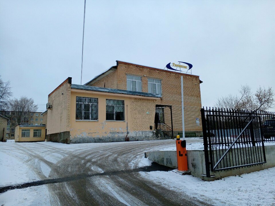 TV company Lukhovitskiye Elektronnyye Sredstva Informatsii i Svyazi Mup, Luhovicy, photo