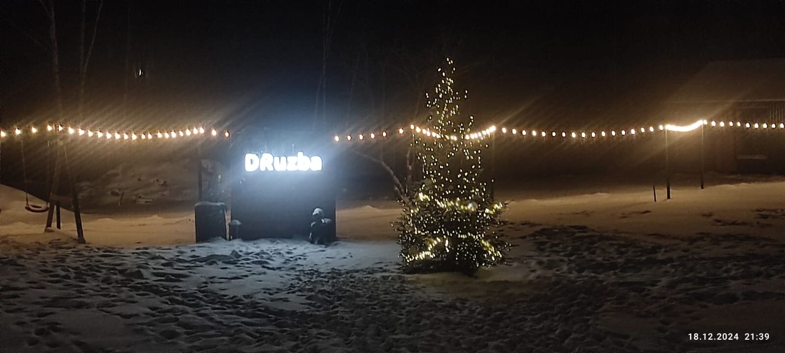 Фото Дружба