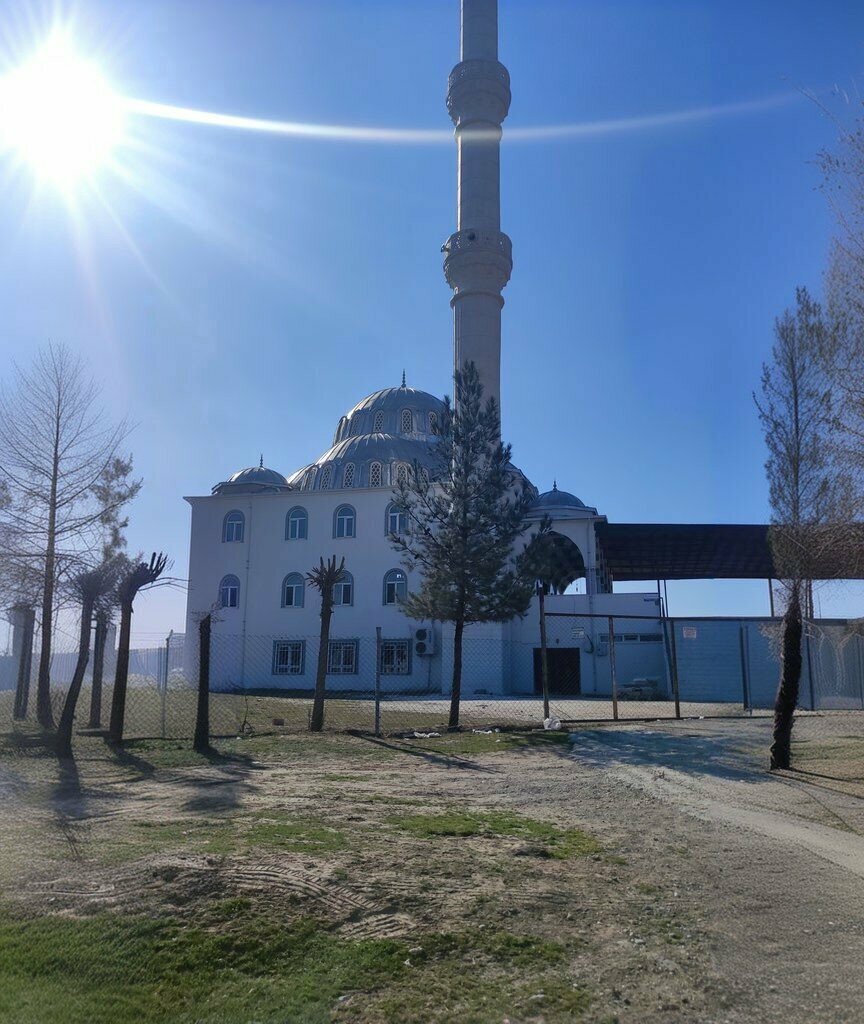 Mosque Furkan Mosque, Batman, photo