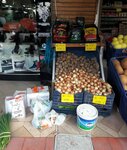 Erdas Market (Kocaeli, Korfez District, Güney Mah., Tuğrul Cad., 11B) ، سوبر ماركت