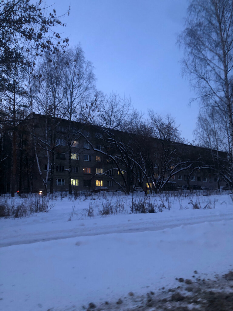 Forestry Верхне-Курьинское участковое лесничество, Perm, photo