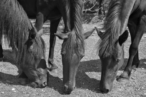 Фото Relais Ciavatta