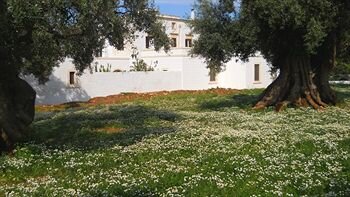Фото Masseria De Michele
